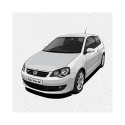 2010 Volkswagen Polo Vivo 6R