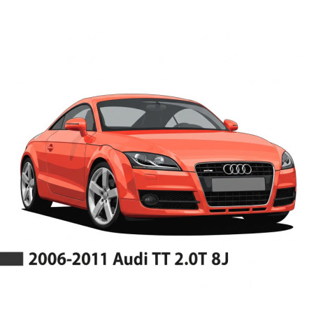 Rear disks and pads - Audi TT 2.0T BPY 8J 2006-2011